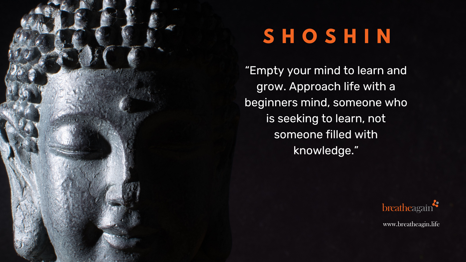 Shoshin - Create a Beginners Mind in Children