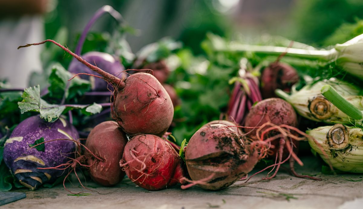 Beet - why I consume it regularly