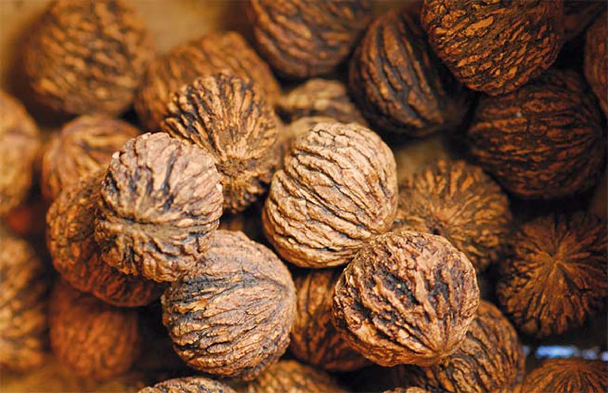 Black Walnut: Flavor and Nutrition