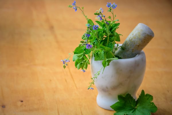 Naturopathy - how did it become quackery?